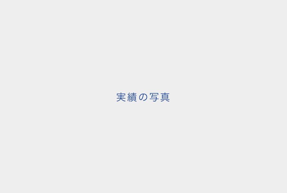 実績紹介イメージ